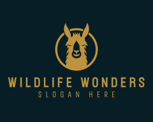 Llama Animal Wildlife logo design