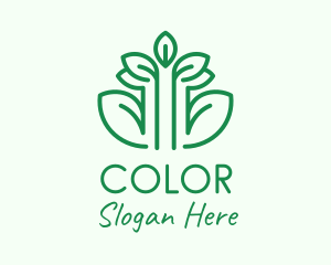 Minimalist Tree Plant  Logo