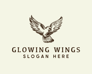 Falcon Bird Wings logo design