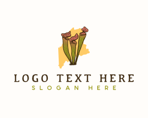 Map - Maine Pitcher Plant logo design