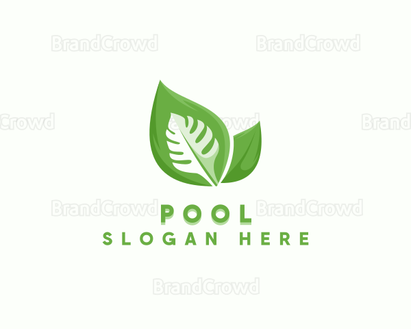 Organic Vegan Leaf Logo