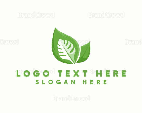 Organic Vegan Leaf Logo