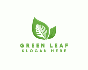 Organic Vegan Leaf  logo design