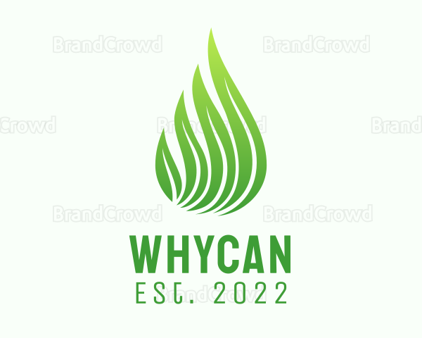 Organic Leaf Extract Logo