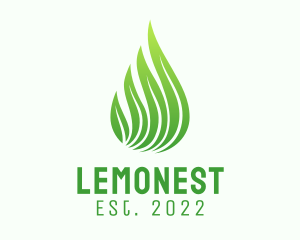 Extract - Organic Leaf Extract logo design