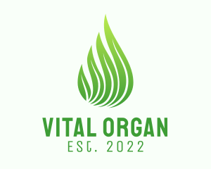 Organic Leaf Extract logo design