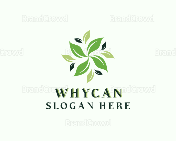 Organic Natural Leaf Logo