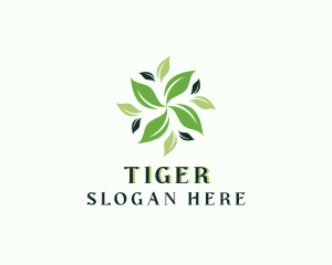 Eco - Organic Natural Leaf logo design
