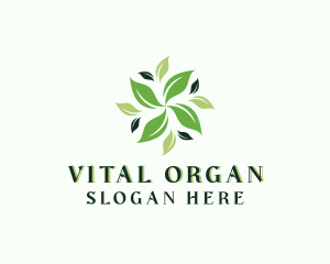 Organic Natural Leaf logo design