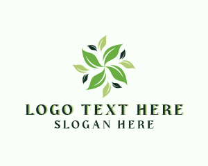 Organic Natural Leaf Logo