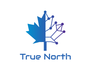 Blue Tech Canada logo design