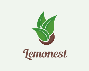 Eco Friendly Plant Logo