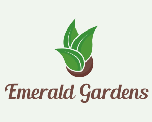 Eco Friendly Plant logo design