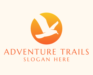 Seagull Sun Adventure logo design