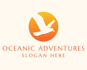 Seagull Sun Adventure logo design