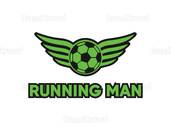 Soccer Ball Wings Logo