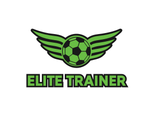 Soccer Ball Wings logo design