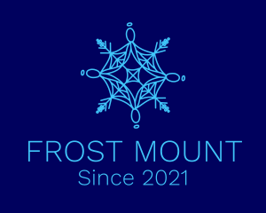 Spiderweb Frost Snowflake logo design