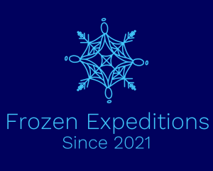 Antarctica - Spiderweb Frost Snowflake logo design