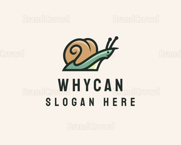 Wild Snail Shell Logo