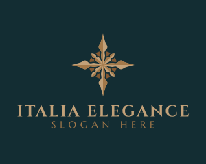 Elegant Star Compass logo design