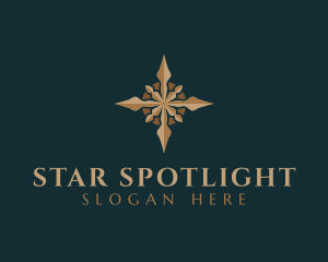 Elegant Star Compass logo design