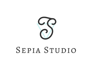 Stylish Boutique Studio logo design