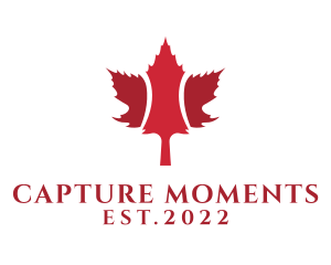 Red Maple Leaf  logo design