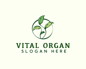 Botanical Organic Leaves logo design