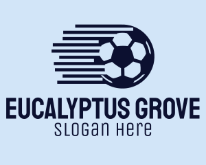 Fast Soccer Ball  logo design