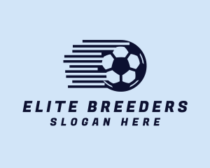 Fast Soccer Ball  logo design