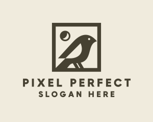 Bird Picture Frame logo design