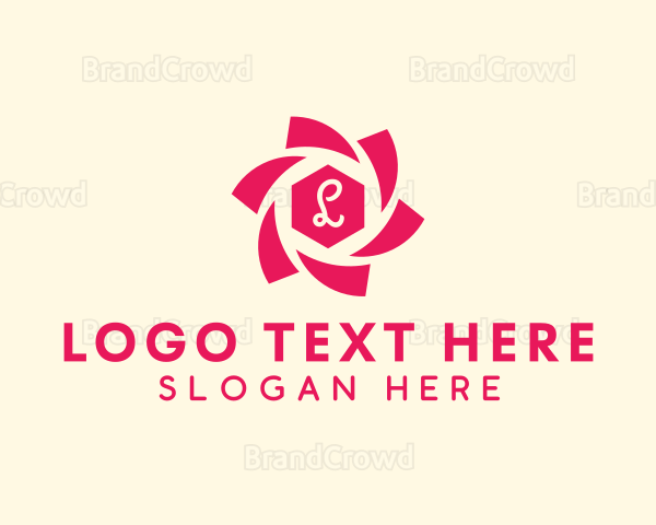 Generic Spiral Hexagon Logo