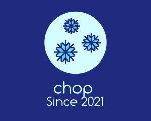 Antarctica - Ice Winter Snowflakes logo design