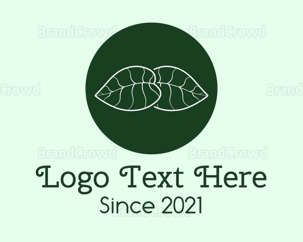 Green Botanical Leaf Logo