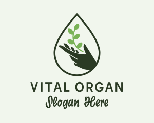 Organic Beauty Spa  logo design