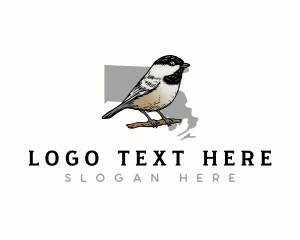 Avian - Massachusetts Chickadee Bird logo design