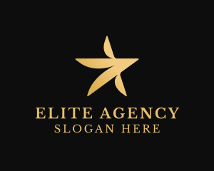 Star Entertaiment Agency logo design