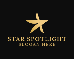 Star Entertaiment Agency logo design