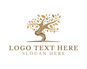 Herbal - Wellness Autumn Tree logo design