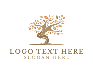 Wellness Autumn Tree Logo