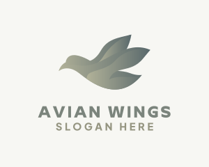 Modern Avian Bird  logo design