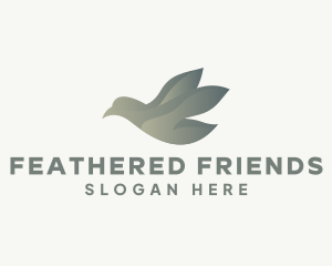 Modern Avian Bird  logo design