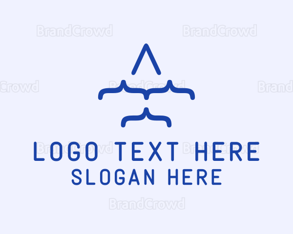 Blue Plane Code Logo