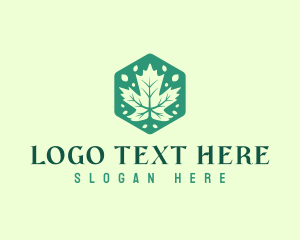 Maple Tree - Maple Tree Leaf logo design