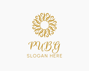 Plastic Surgery - Sunshine Swirl Emblem logo design