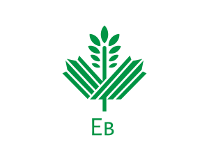 Organic - Green Maple Leaf logo design