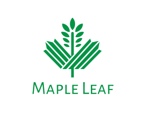 Green Maple Leaf logo design