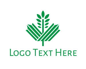 Country - Green Maple Leaf logo design