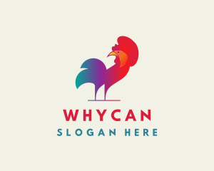 Colorful Rooster Chicken Logo